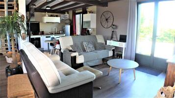 Télévision, lecteur de DVD, baby-foot, table de tennis de table