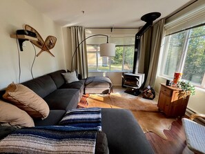 TV, fireplace, books, stereo