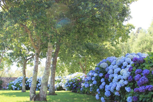 Garden - APARTAMENTOS MARITIMO SOLO ADULTO (O Grove)