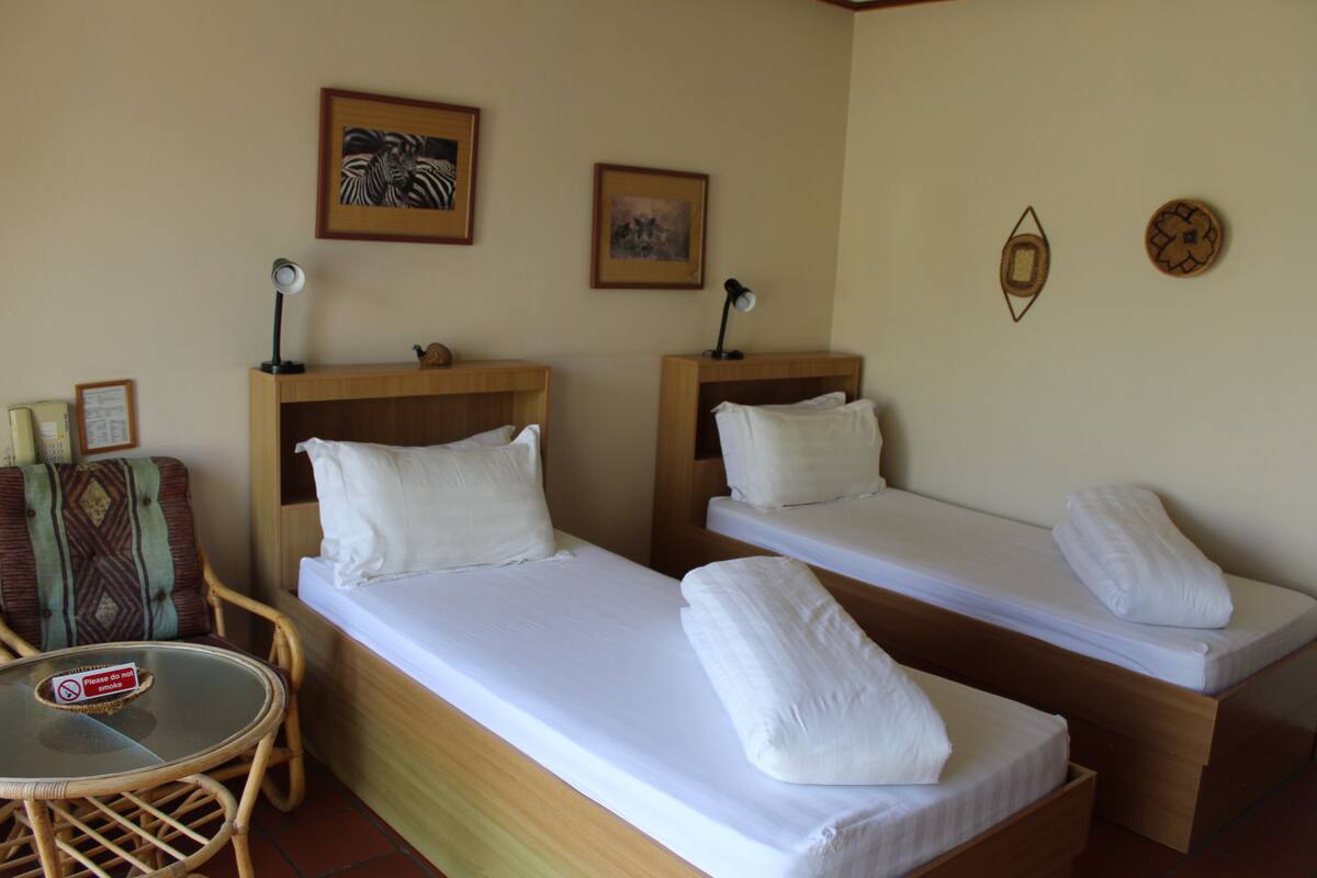Sábanas de algodón egipcio, ropa de cama de alta calidad y cubrecamas 