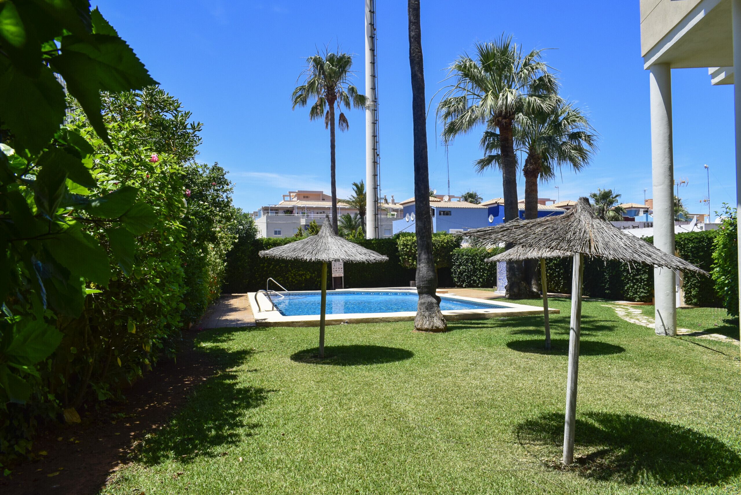 A pool area with a clear blue sky, palm trees, and a thatched umbrella.