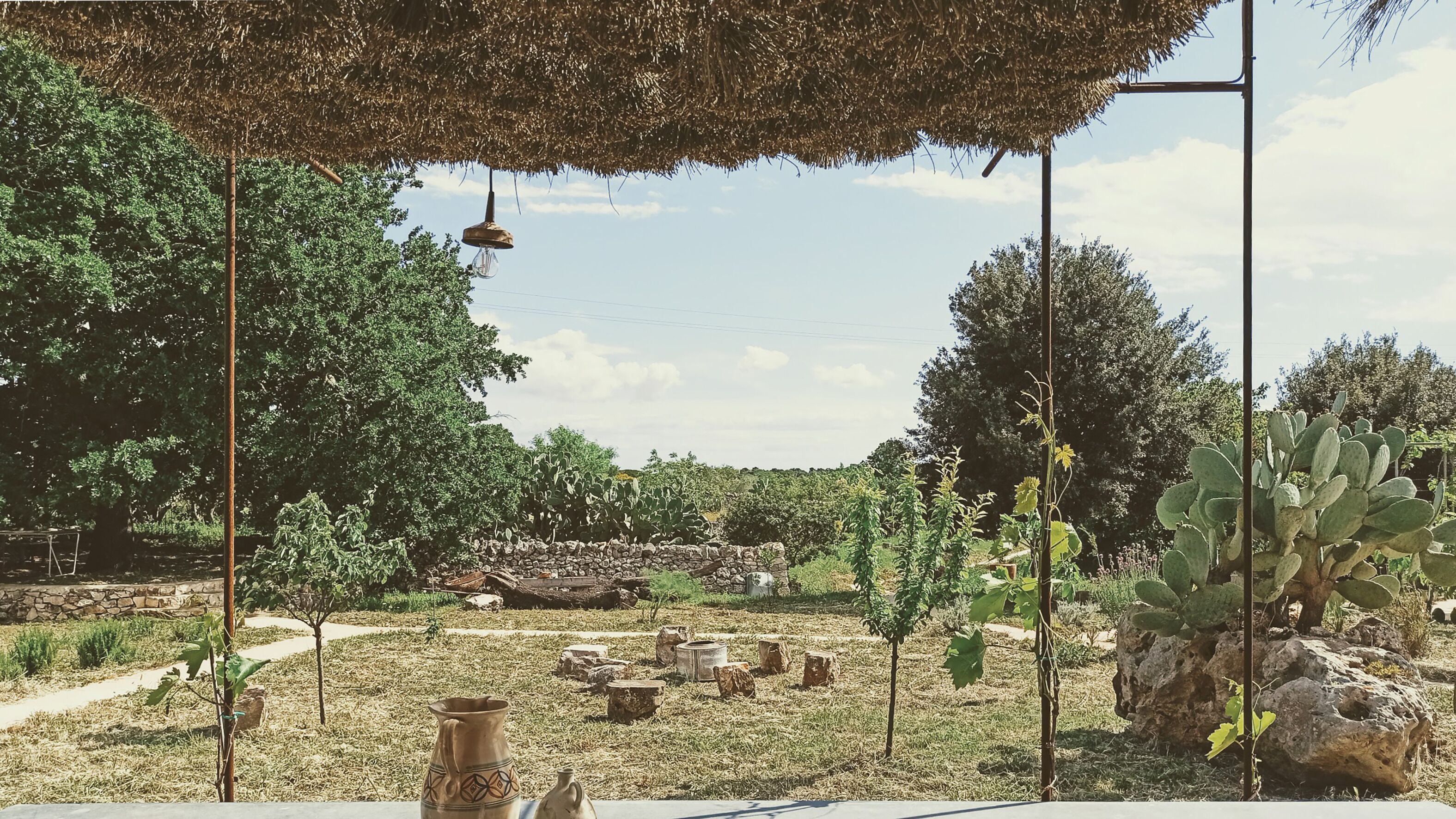 A garden with a stone wall, cactus, and a hanging light fixture.
