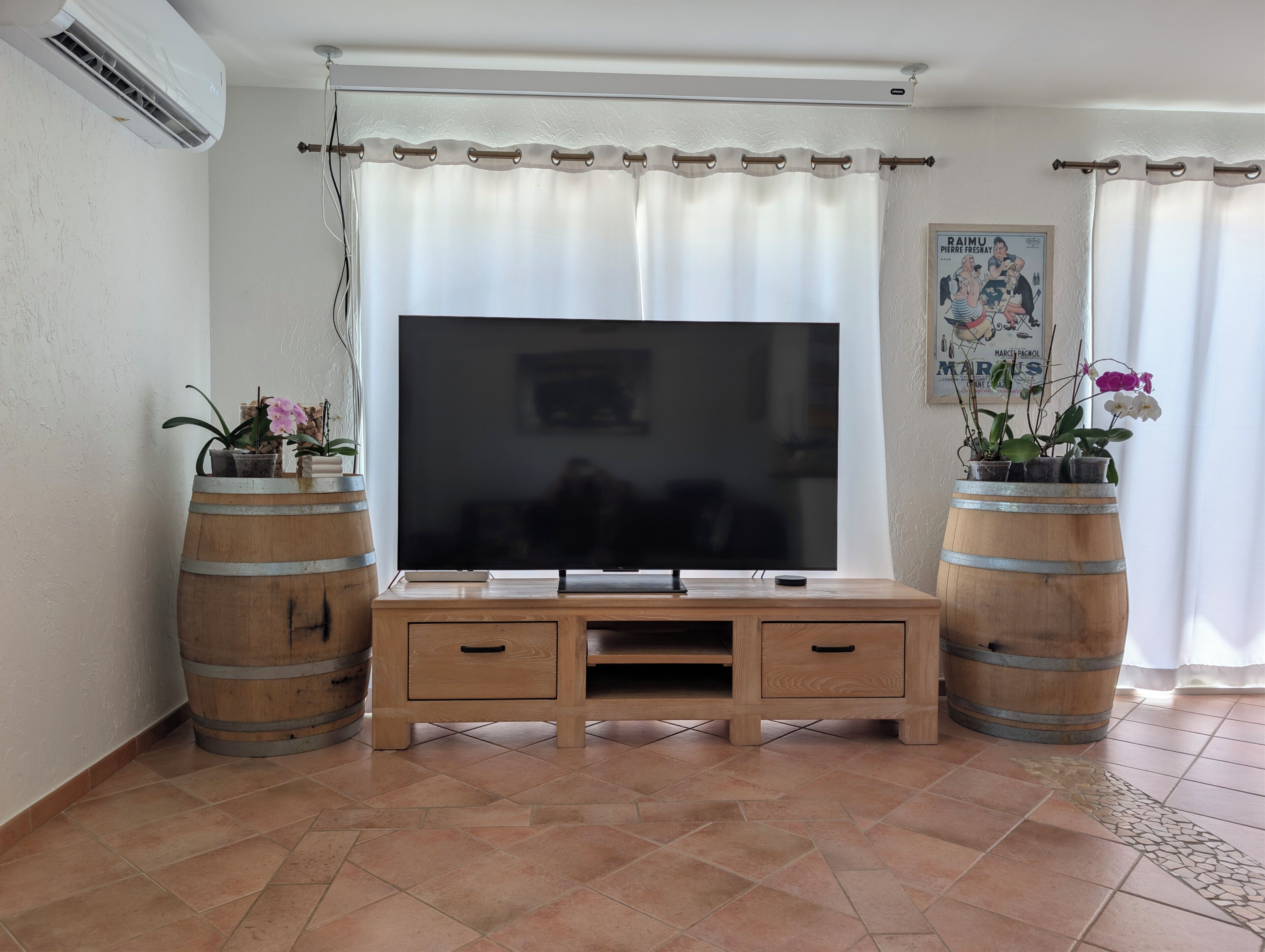 A living room with a flat-screen TV on a wooden stand, two potted plants, and a poster on the wall.