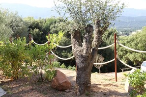 Ein Baum mit einer Seilsperre, ein großer Felsen und ein Blick auf eine gebirgige Landschaft.