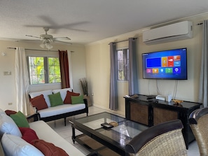 Smart TV, DVD player, video library