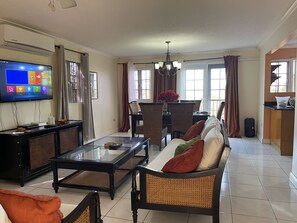 Älytelevisio, DVD-soitin, videokirjasto