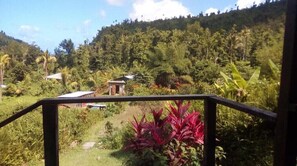 Property grounds - 3 Rivers Eco Lodge (Rosalie)