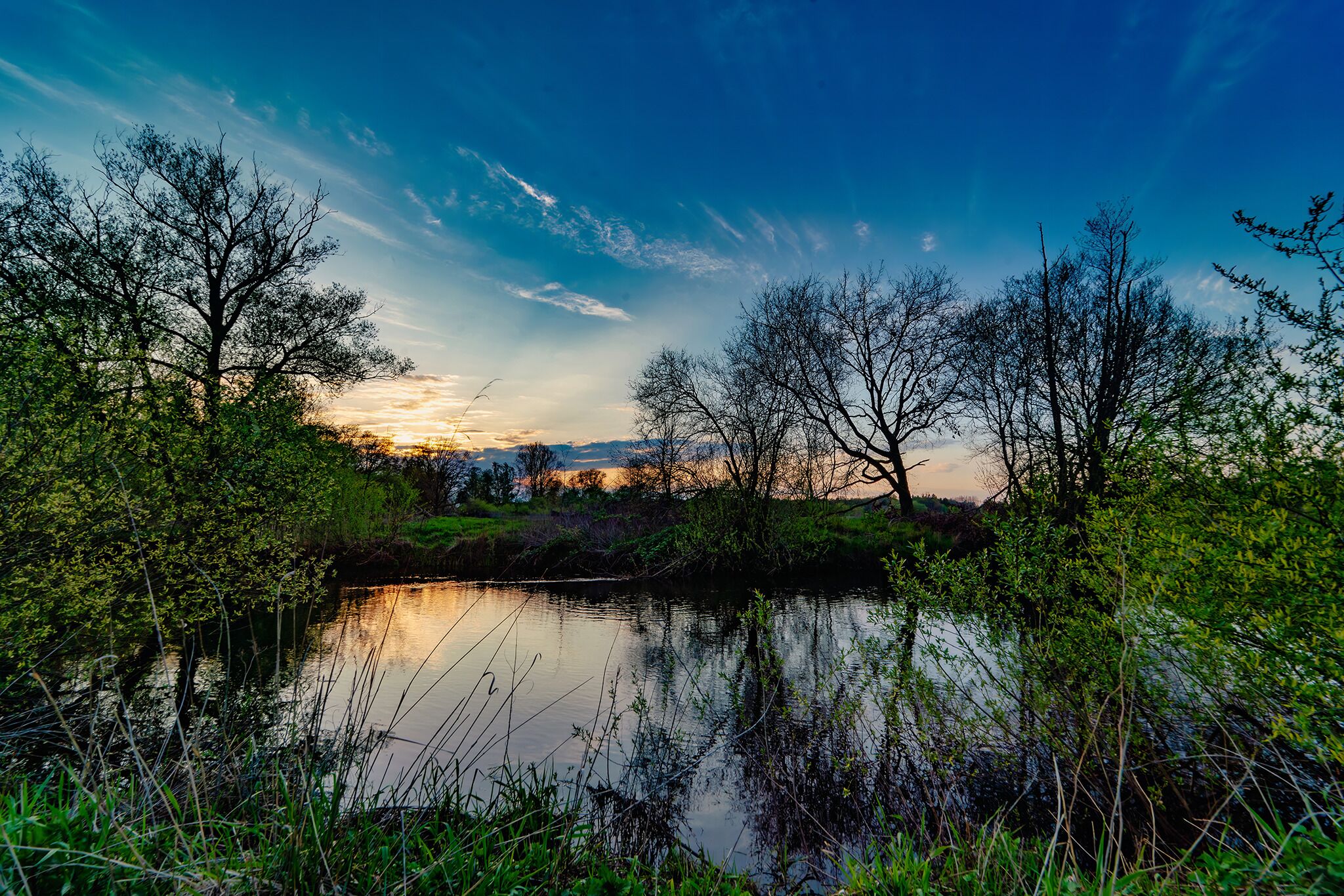 Un paisaje sereno con un lago tranquilo, rodeado de árboles y vegetación, que refleja el cielo.