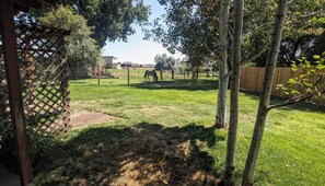 Property grounds - Rustic Wine Country Farmhouse (Walla Walla)