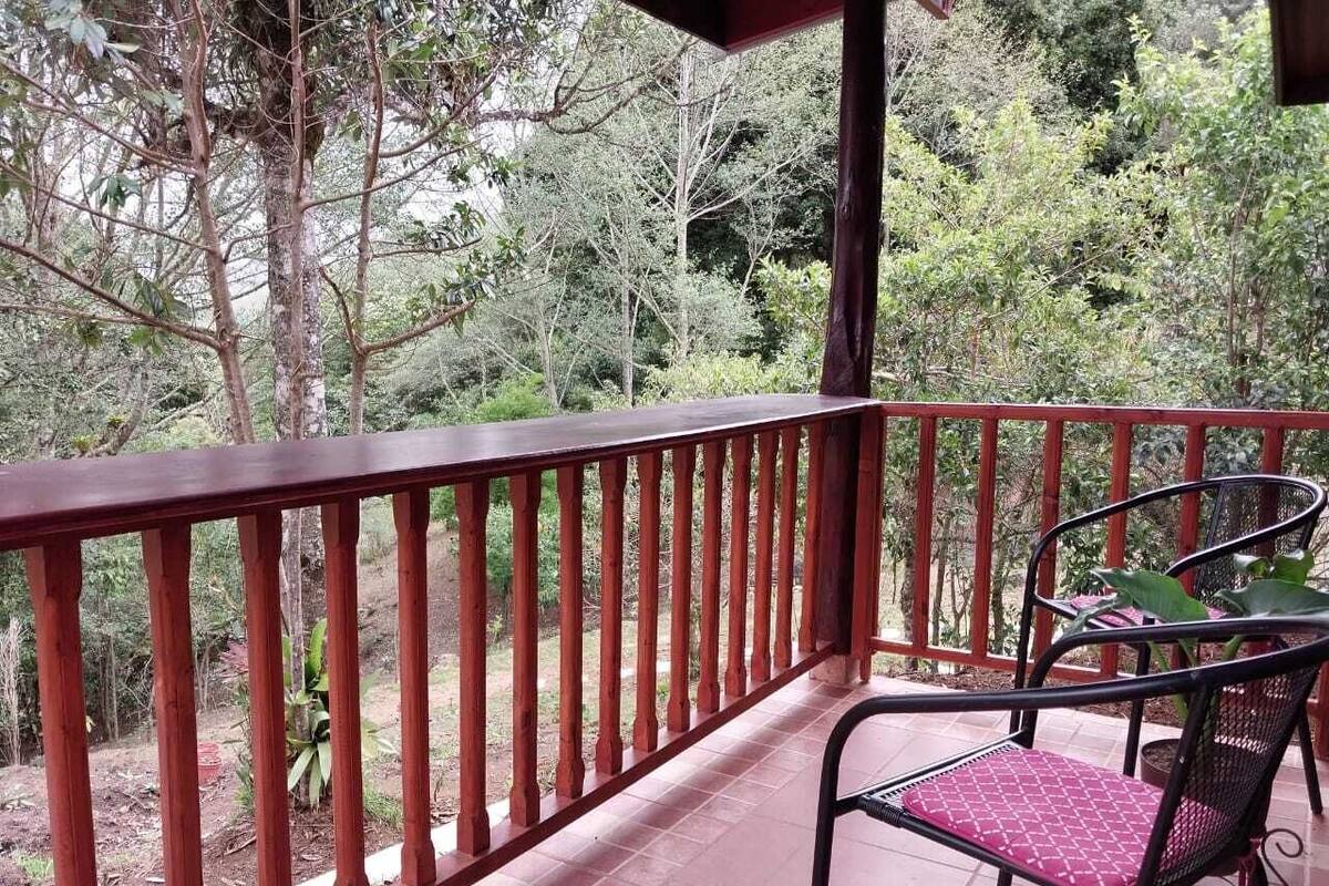 A balcony with a red railing, a black metal chair with a red cushion, and a view of dense greenery.
