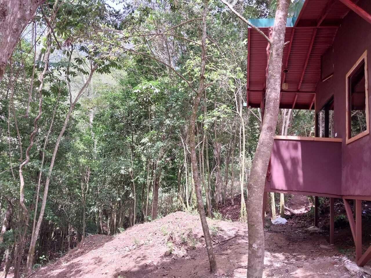 A rustic wooden structure surrounded by dense forest.