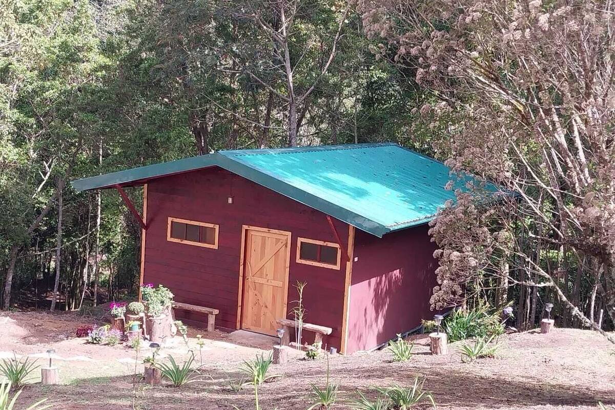A small, single-story cabin with a red exterior and a green roof, surrounded by trees and plants.