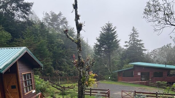 Un chalet rustique doté d’une terrasse en bois et d’un jardin clos agrémenté de buissons d’hortensias.