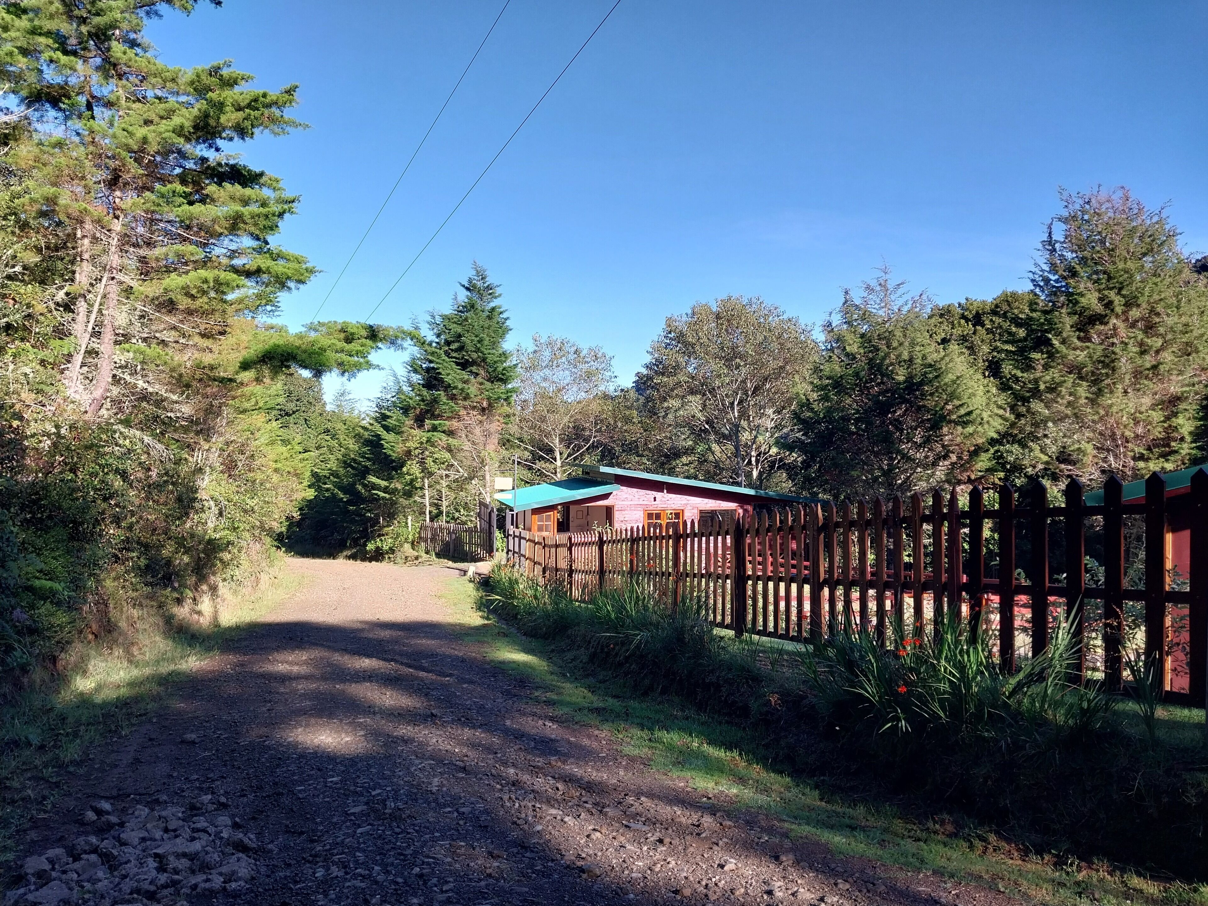 A rural road leading to a wooden cabin with a green roof, surrounded by dense trees and a wooden fence.