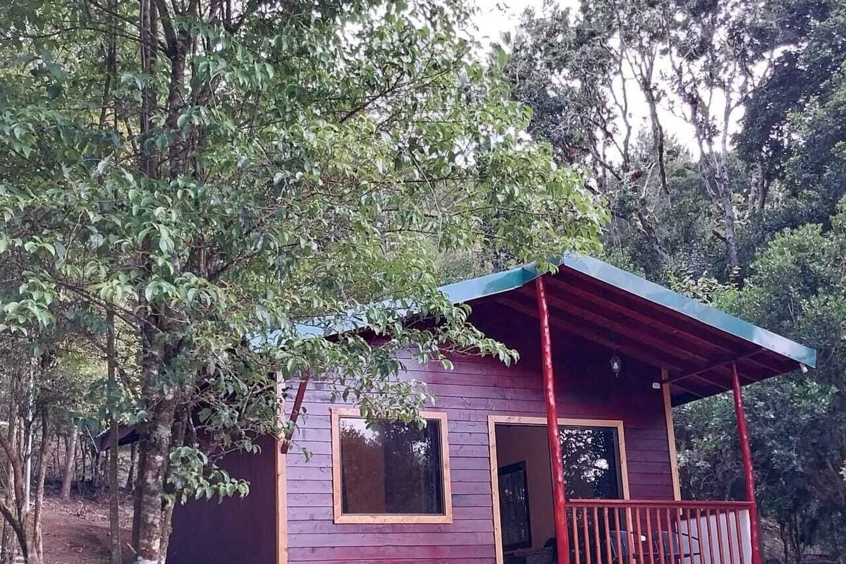 A small wooden cabin with a porch and a door, surrounded by trees.