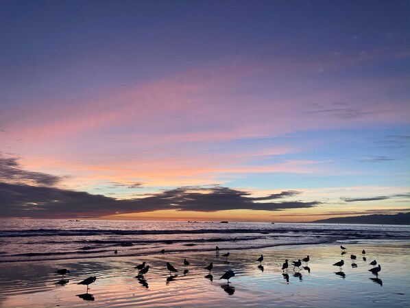 Camastros y toallas de playa 