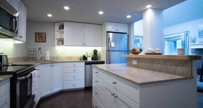 Sun Valley/Ketchum-Location, Hot tub, pet friendly, walk to ski and downtown