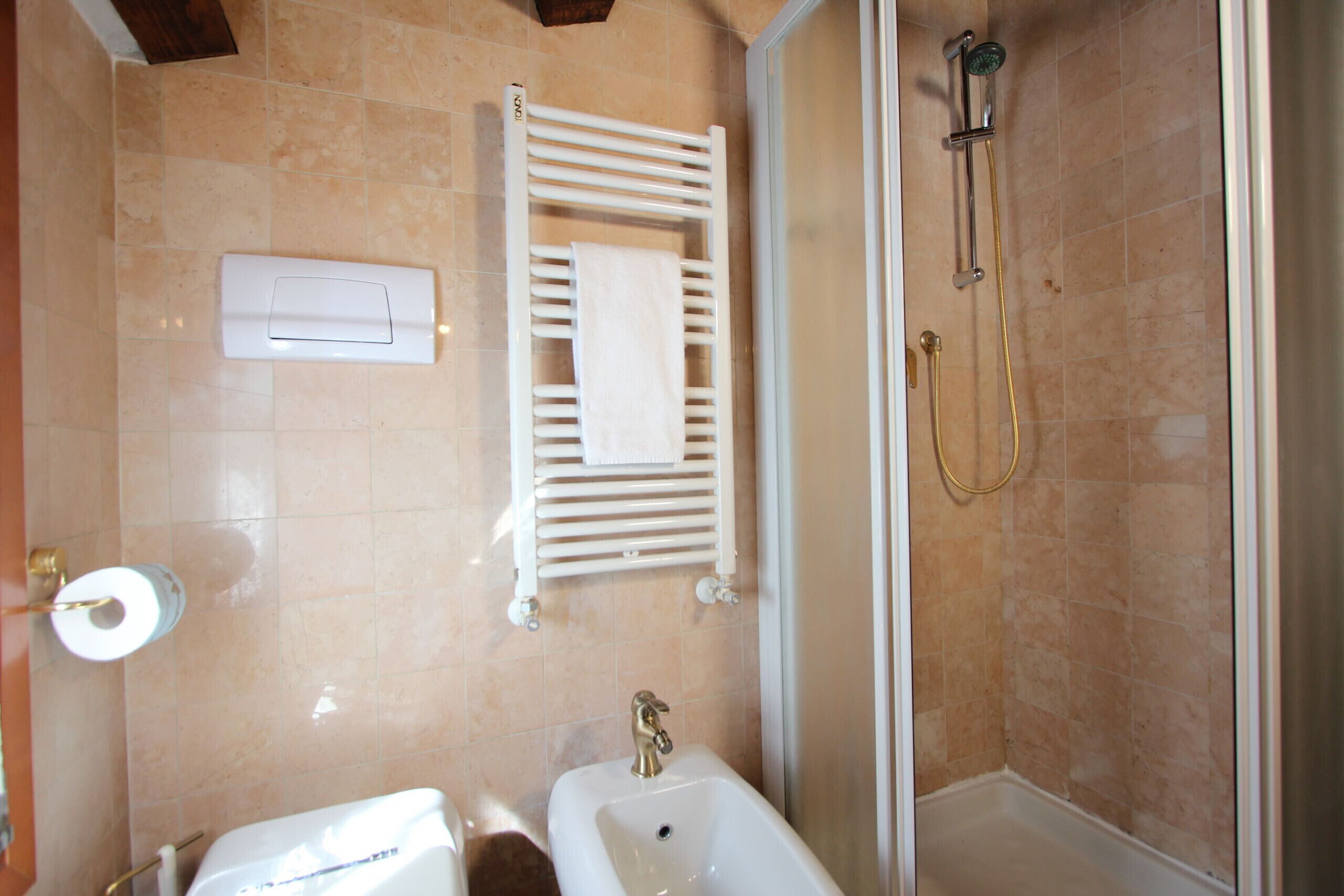 Shower, hair dryer, bidet, towels