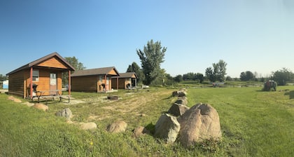 Serene Cabin w/ Paddle Boats, Kids Activities & Fishing Pond, Ideal for Families