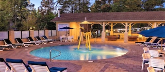 1Bed/1Bath - Gorgeous Flagstaff with Pools, Golf, and More!