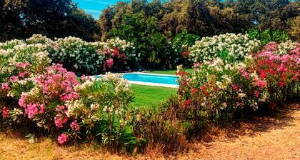 Casa Valdevientos · Private Estate in SierraMorena