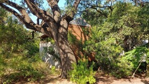 Escape to a secluded cabin nestled among lush greenery.