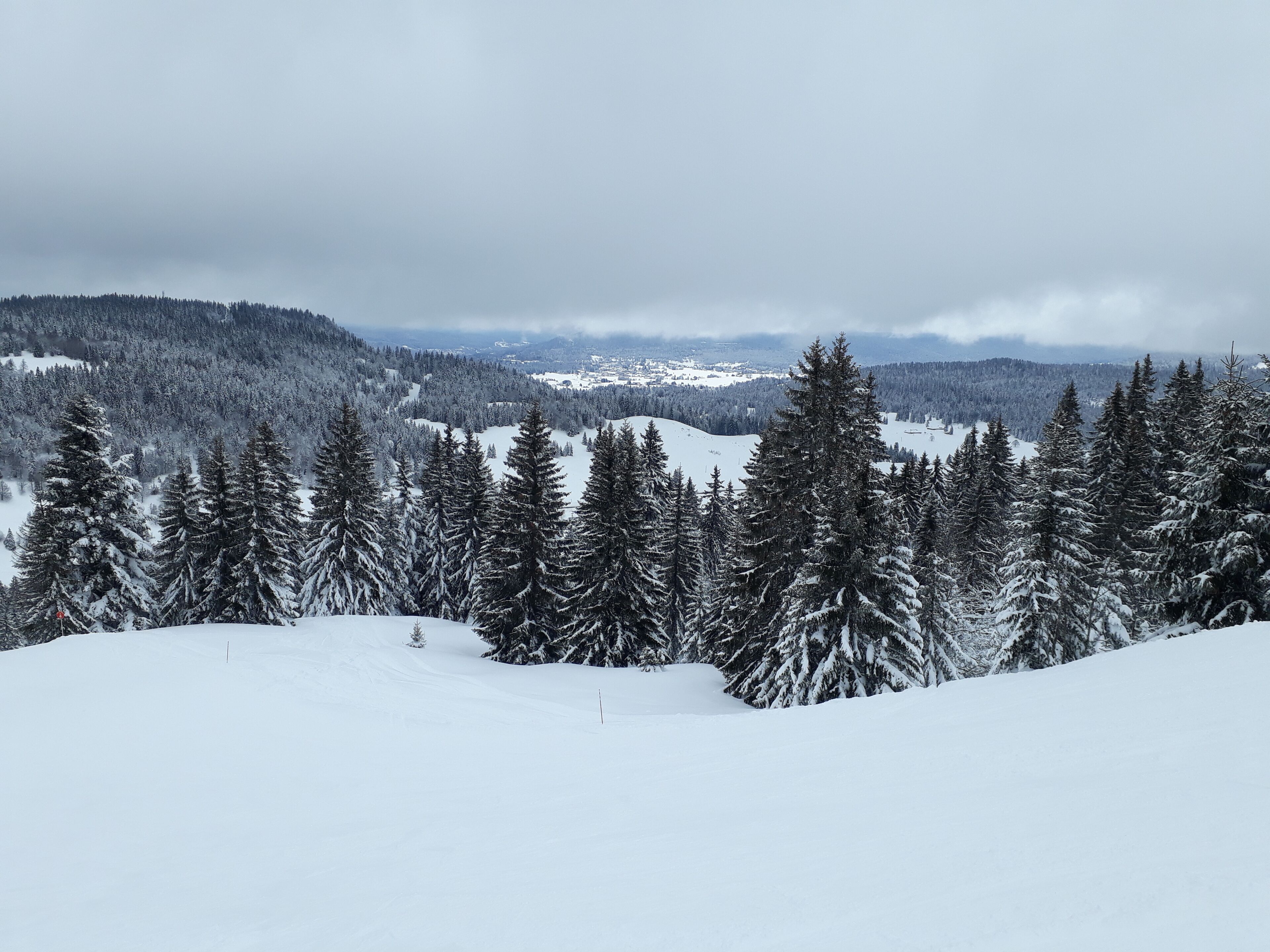 A snowy landscape with dense evergreen trees and a flat, snow-covered ground.