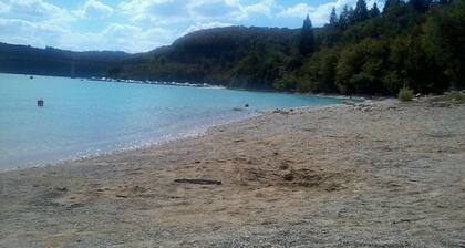 Insertion Dans la Nature