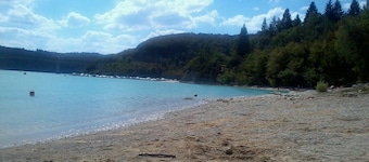 Insertion Dans la Nature