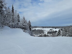 Eine verschneite Landschaft mit dichten Wäldern und wolkenlosem Himmel.