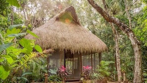 Yoga - Madre Tierra Eco Habitat (Leona Vicario)