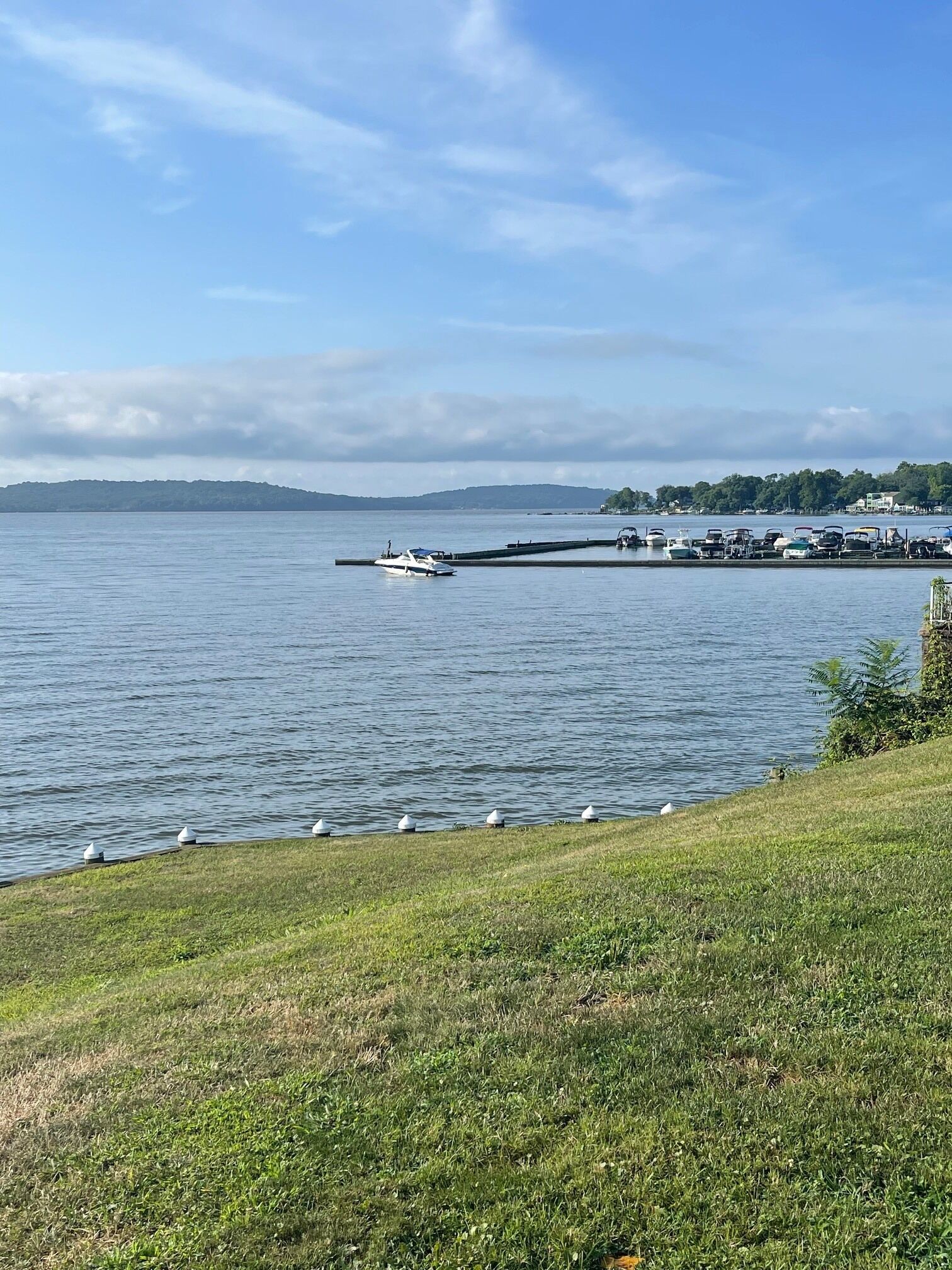 A marina with boats docked, a grassy shoreline, and a distant hill.