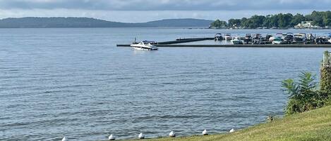 A marina with boats docked, a grassy shoreline, and a distant hill.