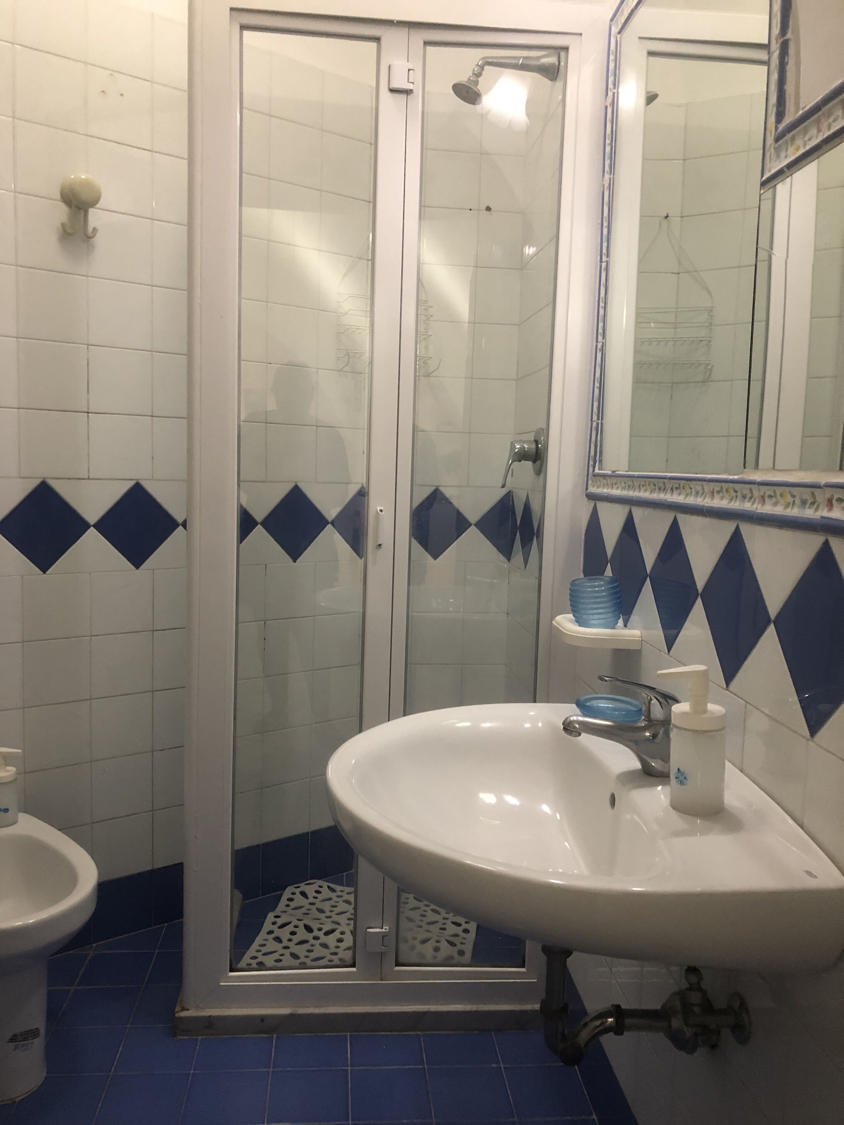Sèche-cheveux, serviettes fournies, savon, papier toilette