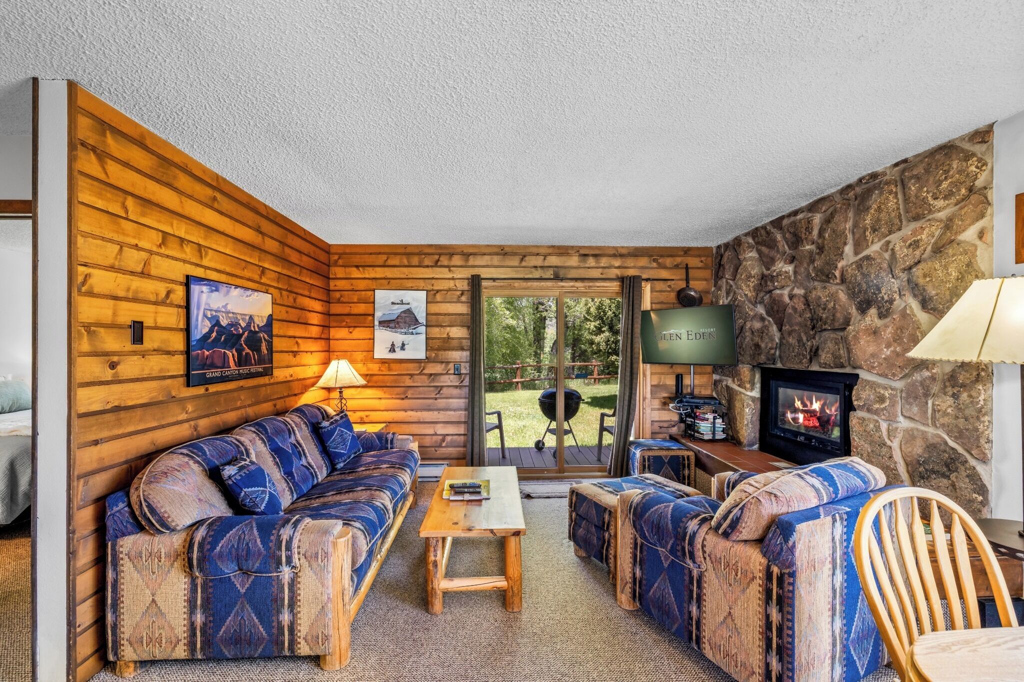 TV, fireplace