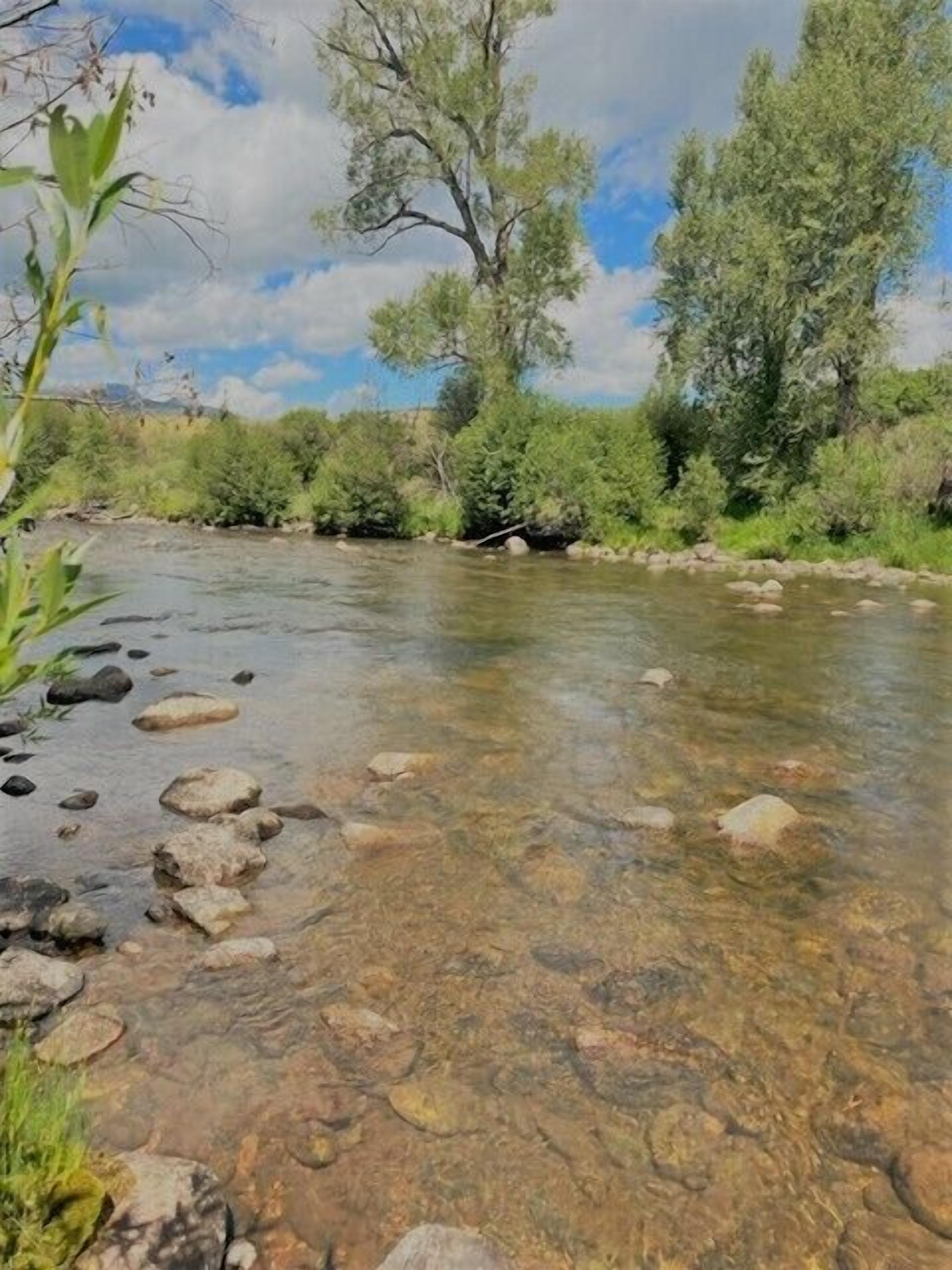 A clear river with visible rocks and greenery around.