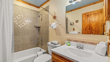 Combined shower/tub, hair dryer, towels