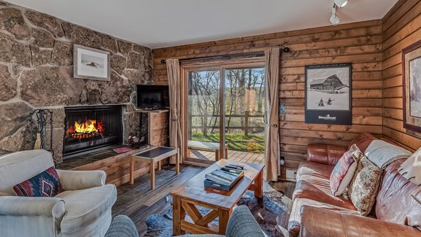 A cozy cabin interior with a stone fireplace, wooden walls, a leather sofa, and a view through a glass door. - Riverhouse - Fireplace, kitchen, pet friendly! (Clark)
