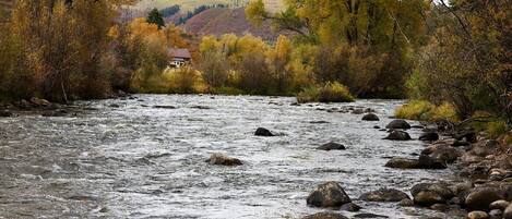 A river with rocks and autumn-colored trees.