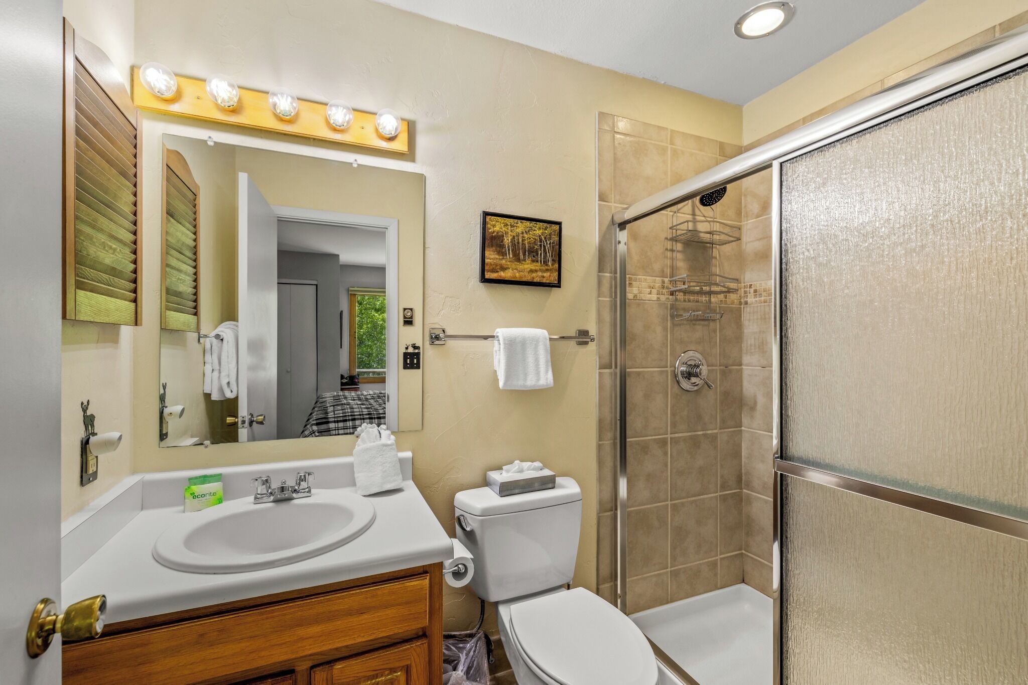 Combined shower/bathtub, hair dryer, towels
