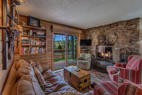 Téléviseur connecté, foyer, livres