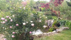 Jardí amb diverses plantes i una petita bassa.