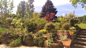 A garden with a variety of plants and flowers, a brick wall, and a staircase.