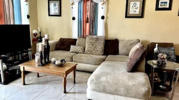 TV, computer monitors