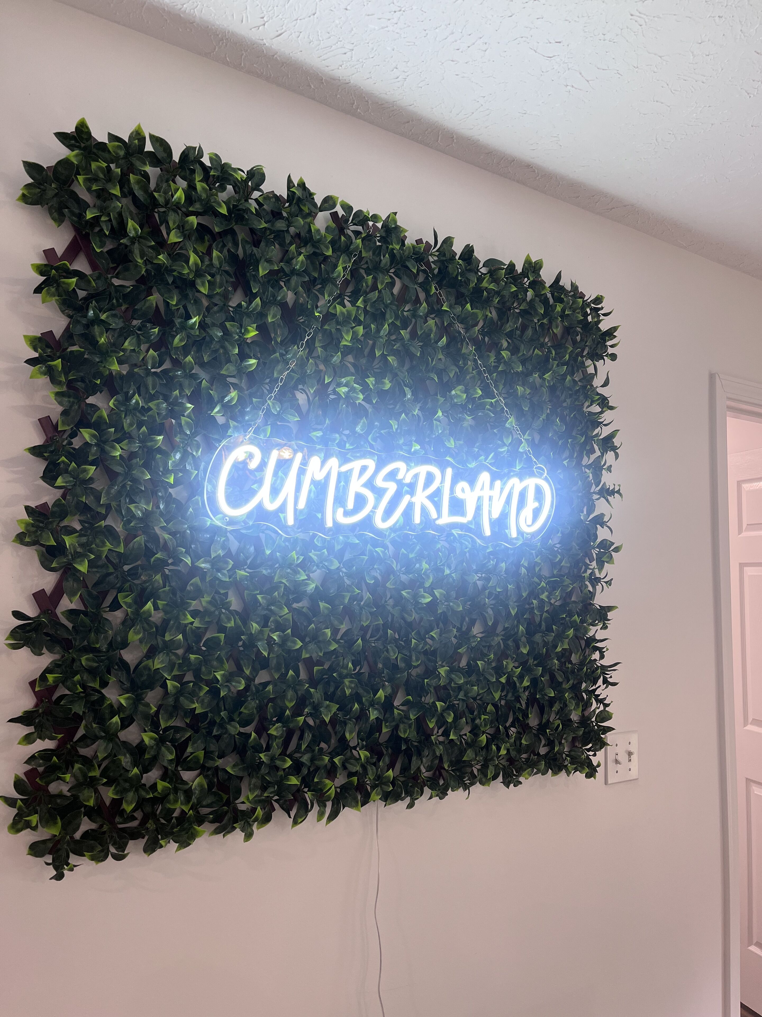 Una pared con un letrero de neón que dice 'CUMBERLAND' rodeado de follaje verde.