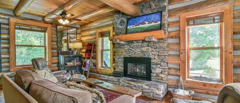 TV connectée, cheminée, livres