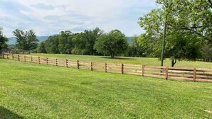 A grassy field with a wooden fence and trees in the background. - Country View Cottage-Near Massanutten, Skyline drive,&JMU.A home away from home! (Elkton)