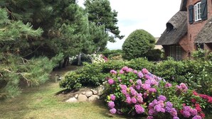 A traditional house with a thatched roof, surrounded by a well-maintained garden with various shrubs and flowering plants.