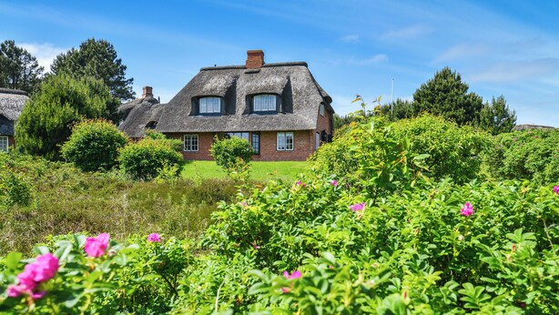 A traditional thatched-roof house with a brick base, surrounded by lush greenery and flowering plants.