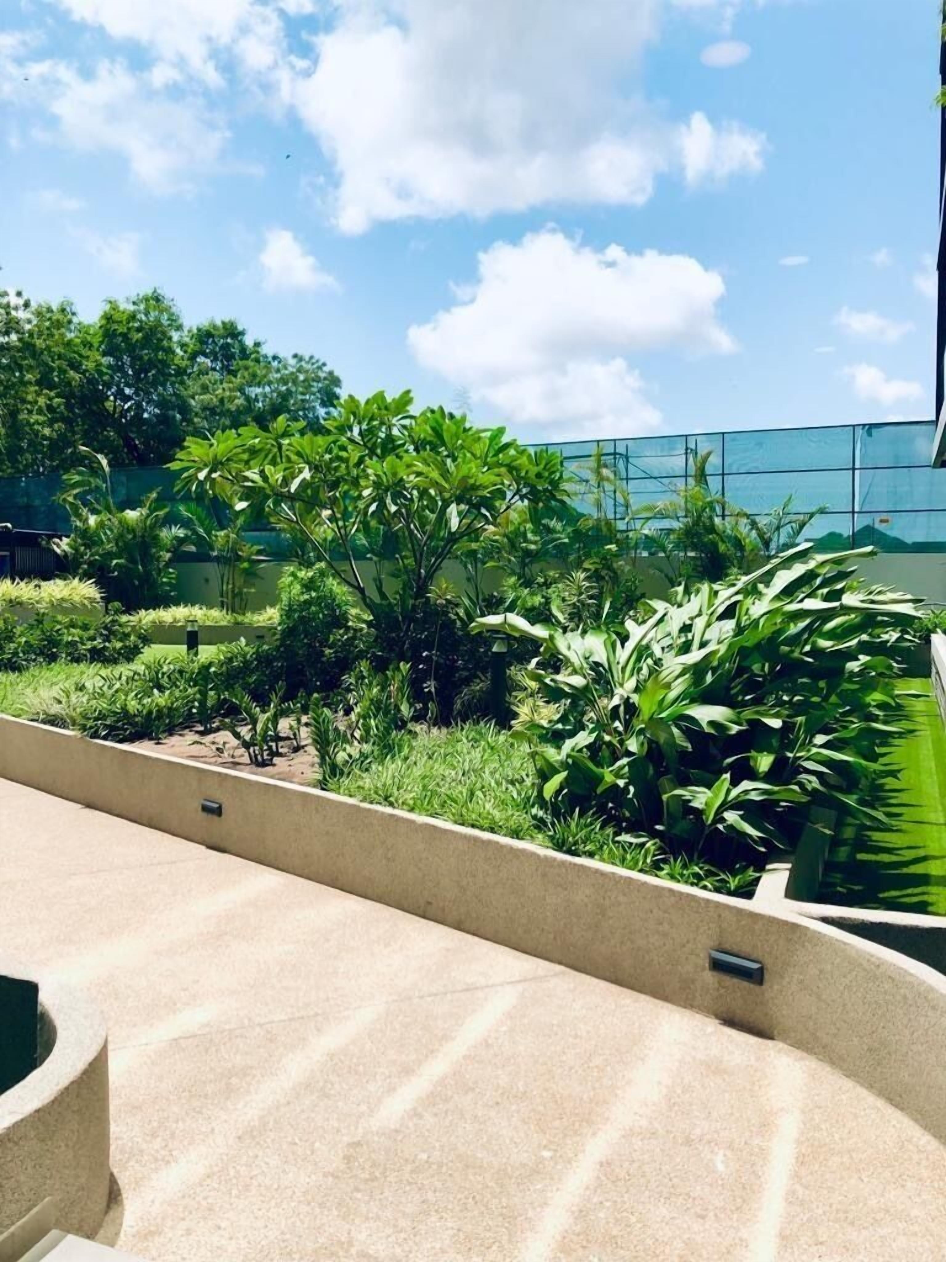 A rooftop garden with various plants and a modern building in the background.